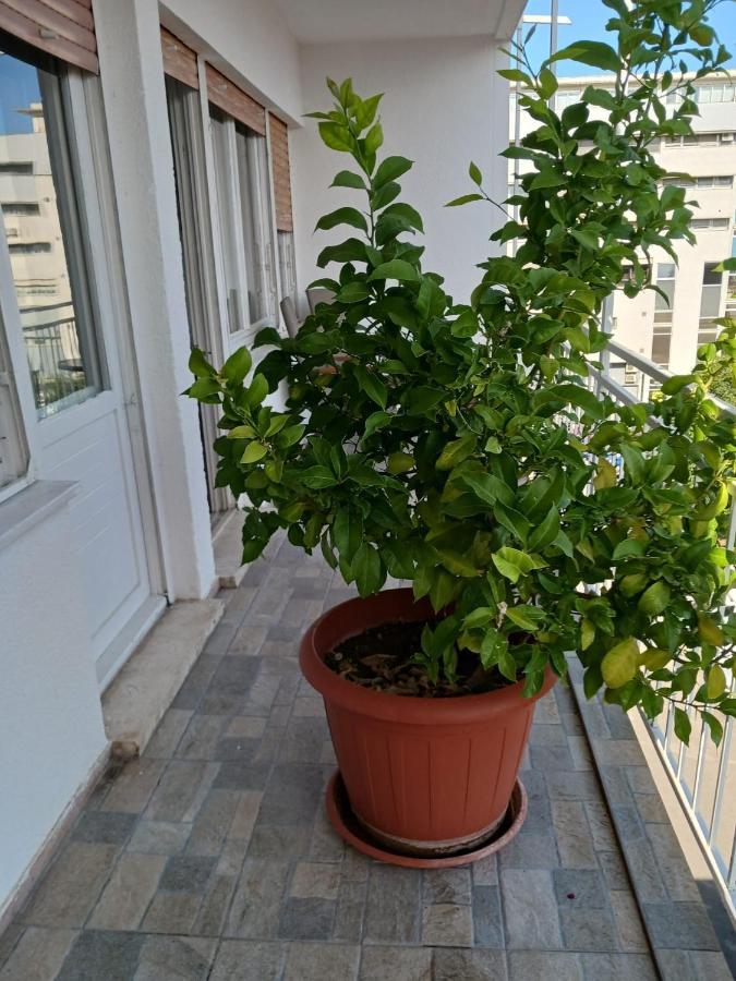 Room With Private Toilet And Balcony In City Center In Shared Apartment Split Exterior foto